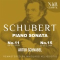 SCHUBERT: PANO SONATA, GASTEINER
