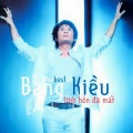 Best Collection Of Bang Kieu