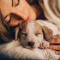 Huellas Musicales、Playlist Relajante para Perros、Radio Canina Relajante - Las Melodías Suaves Calman La Ansiedad