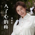 刘馨蔚 - 入了心的疼