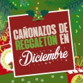 Tito El Bambino、randy、Tito 