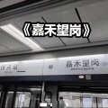 嘉禾望岗