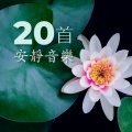 20首安靜音樂: 為了練瑜伽,冥想,睡覺和學習必聽的音樂