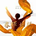 汪正正 - 春晖灿烂