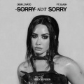 Sorry Not Sorry (Rock Version|Clean)