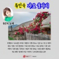 류인숙 - 그대곁에잠들고싶어