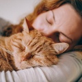 Música Calmante Para Gatos: Melodías Suaves Para El Confort