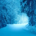 bob b. soxx and the blue jeans - Here Comes Santa Claus