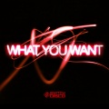 WHAT YOU WANT