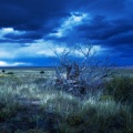 Great Plains (Franky Klassen Remix)