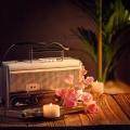 Lofi Lounge Cafe、Zen & Spa、Wildtones Nature Sounds - Lofi Massage Tracks