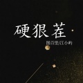 硬狠茬