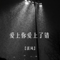 溪风 - 爱上你爱上了错