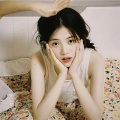 梧桐树