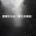 遗憾无法说 (青花说唱版)