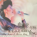 邓丽君 琴韵 双电子琴（丝丝小雨）