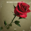 RIN7. - 像玫瑰错过花期而我错过你