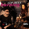 llp、Besa - Burning