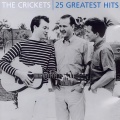 The Crickets、Bobby Vee - Someday