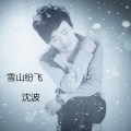沈波 - 飘雪