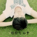 张杭 - 惜纷飞如梦