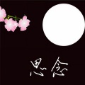 王立丽 - 思念