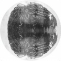 ishmael - Dejong