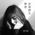 豹豹 - 熟悉还是陌生