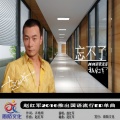 赵红军 - 忘不了