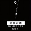 杨晓峰 - 若静若离