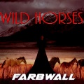 Farbwall - Wild Horses
