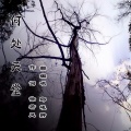 邱峻翀 - 何处天堂