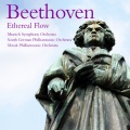Slovak Philharmonic Orchestra、Peter Toperczer - I. Allegro