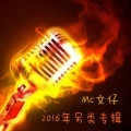 MC文仔、张凯 - 新欢