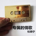 杜晓宁 - 专属的情歌
