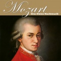 Opole Philharmonic Orchestra、Werner  Stiefel - I. Allegro