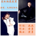 独飞、飞歌 - 爱如烟花寂寞