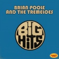 the tremeloes、brian poole - Mr. Bass Man