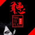 杨历川 - Try To Fly