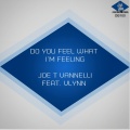 joe t vannelli、Vlynn - Do You Feel What I'm Feeling (Joe T Vannelli Club Mix)