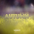 胡迪 - Chasing the fall