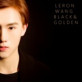 王乐玏 - My Golden Darkness Day