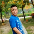 杨棕 - 我在西昌等你来