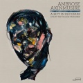 Ambrose Akinmusire - Brooklyn