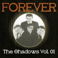 The Shadows - Slaughter On 10th Avenue