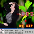 宋夏婷 - 一颗红豆