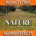 Royalty Free Nature Sound Effects (172 Tracks)
