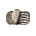 Oxis - Long Sardine