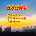 侯卫红 - 远方的父亲