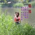 傲雪藏梅 - 惜缘